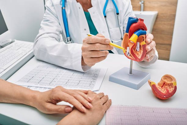 Cardiologue qui pointe une maquette de cœur pour donner des explications