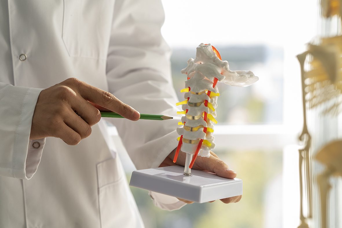 Explication du rhumatologue avec une forme anatomique de colonne vertébrale