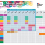 calendrier vaccinal 2026